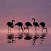 www.ifykgc.blogspot.bg - 1.35793 BTC BINANCE