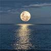 www.scawga.blogspot.hk - 1.344 BTC BINANCE