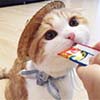 www.jyirsx.blogspot.lu - 110 869 USD BINANCE