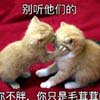 www.hdfntn.blogspot.mk - 89 114 USD TROLL