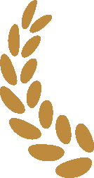 又跑一个!旧套路包装新骗局!警惕这15个项目涉嫌非法集资、传销诈骗!捂紧钱包别上头!