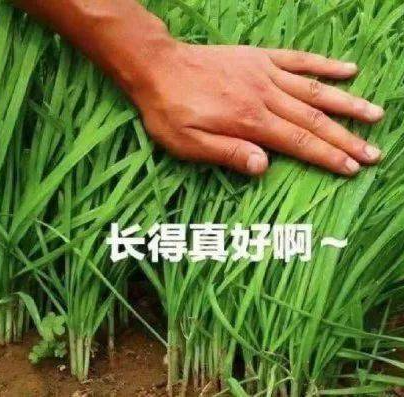 “运营老师”带你“AI开网店”?当心吃大亏!警惕垫资跨境电商平台!